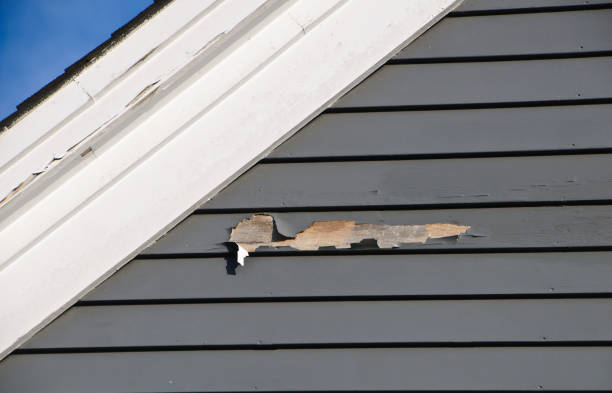 How To Choose The Right Materials for Your Siding Installation in 'Ilchester, MD